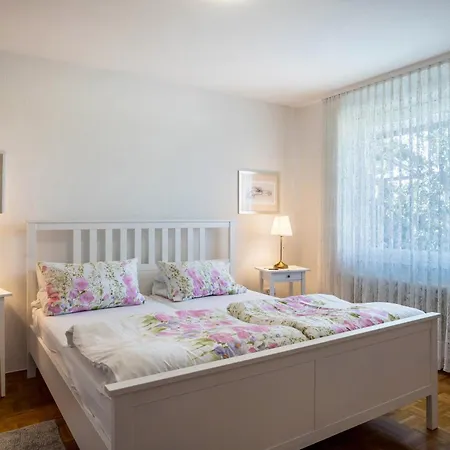 Panorama 公寓 Neusatzeck